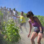 Sancerre-14-5