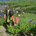 Sancerre-14-6